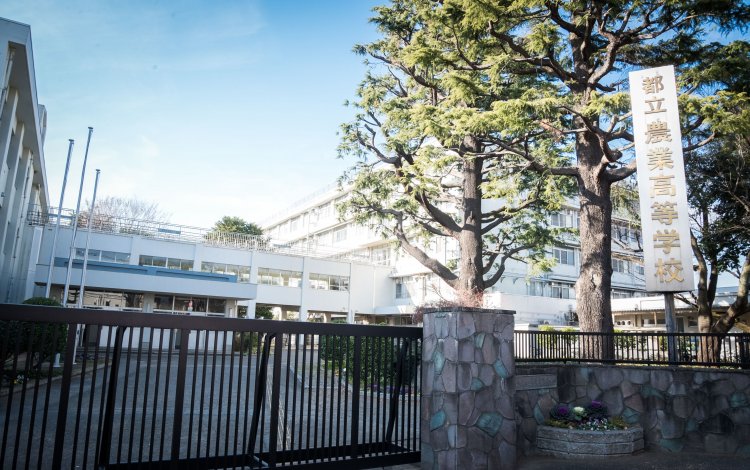 社会に出てからも役立つ教育を