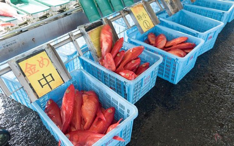 神津島の漁港