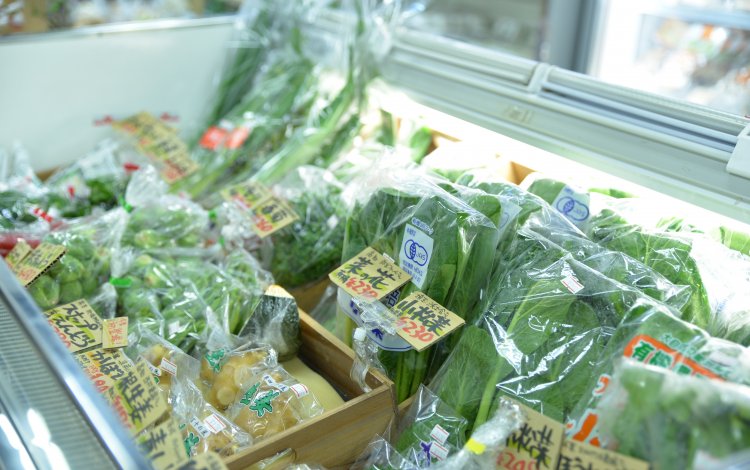 ここで買える！