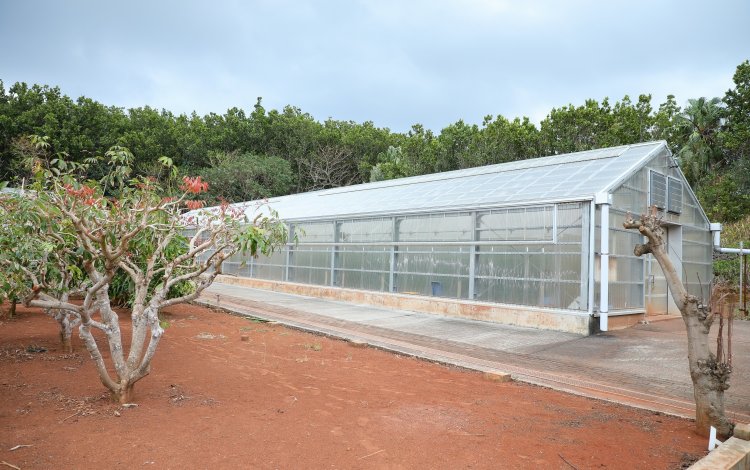 営農研修所の役割