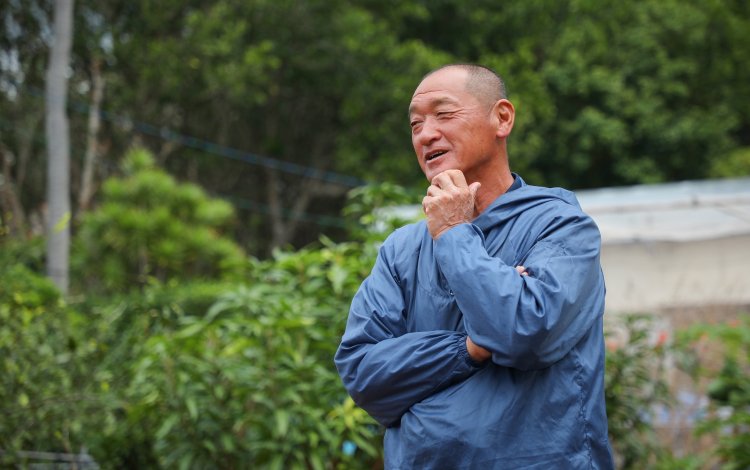 11年島とともに