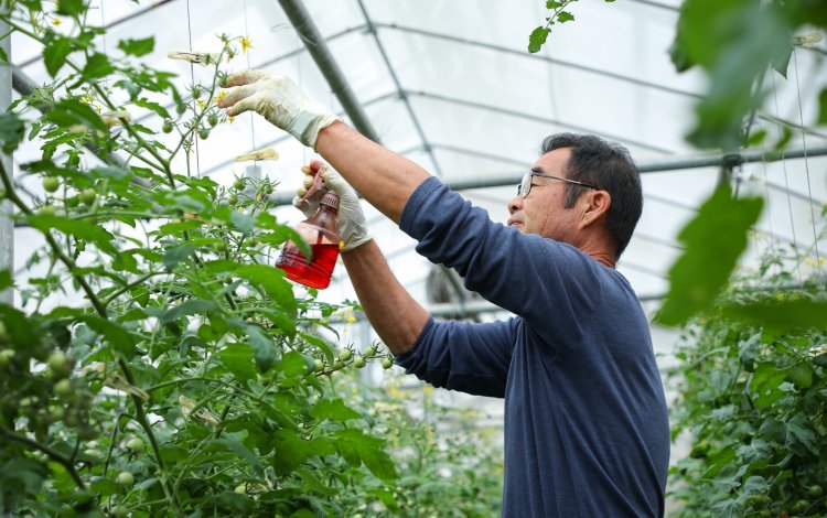 情熱をもって地道に！