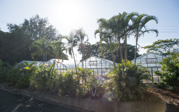 また小笠原に行きたいという希望が叶った2回目の赴任