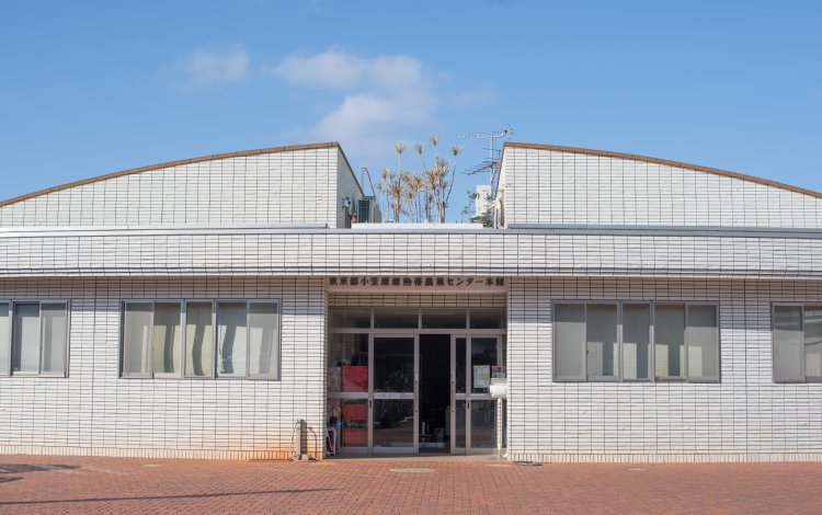 また小笠原に行きたいという希望が叶った2回目の赴任