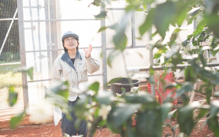 小笠原でしかできない研究に取り組める貴重な場所