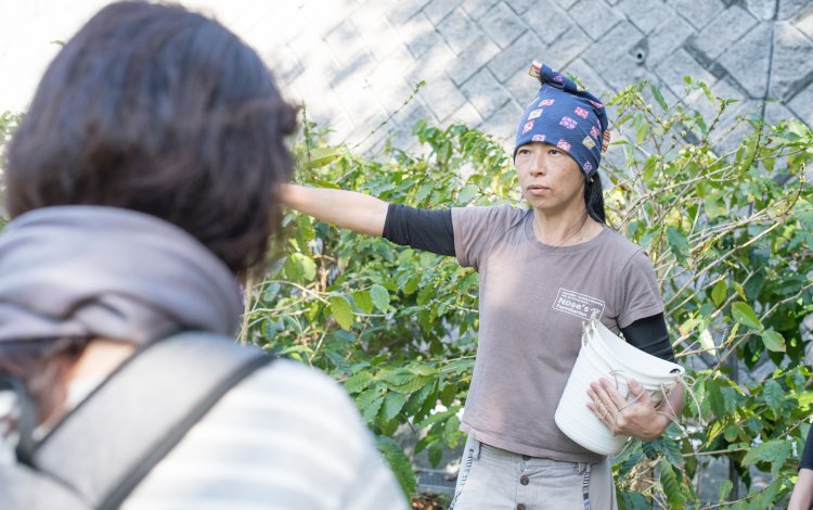 知っているようで知らないコーヒーの世界