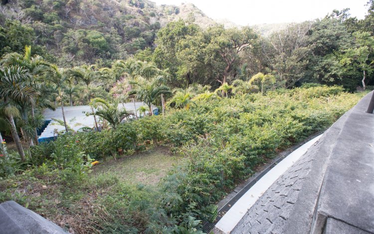 知っているようで知らないコーヒーの世界