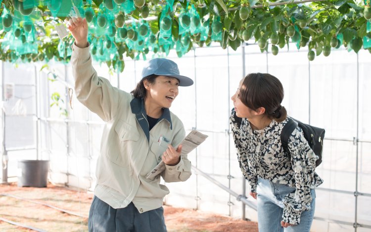 小笠原の農作物の栽培方法を研究