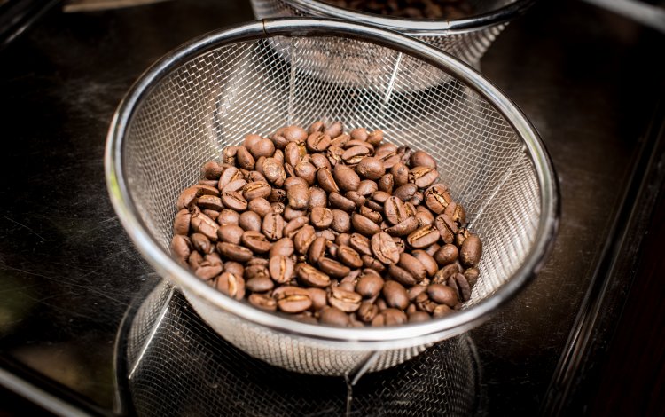 1杯分のコーヒーの実を収穫するのは大変