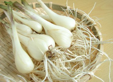 春を先取り！ 島の野菜と フルーツセット！