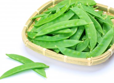 春を先取り！ 島の野菜と フルーツセット！