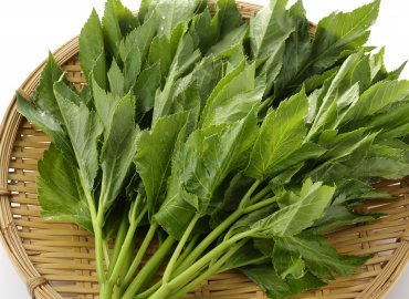 春を先取り！ 島の野菜と フルーツセット！