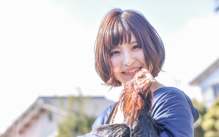 東京しゃもってどんな鶏？