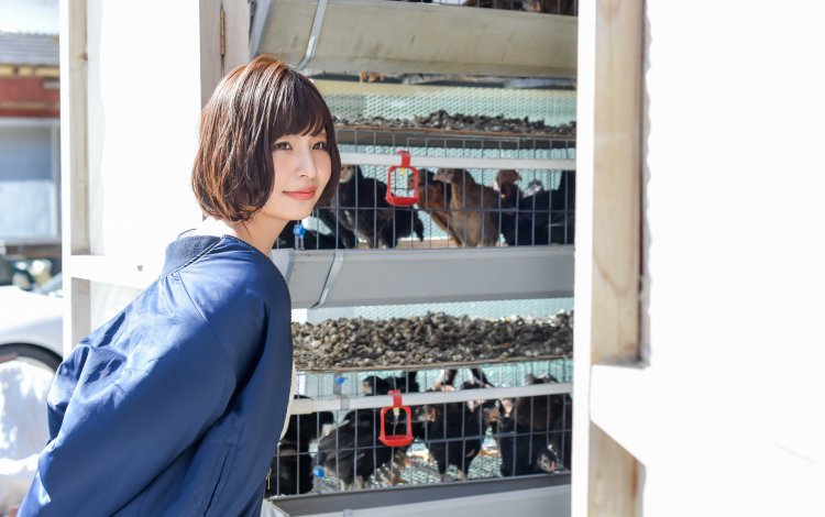 江戸から続く伝統の味を求めて