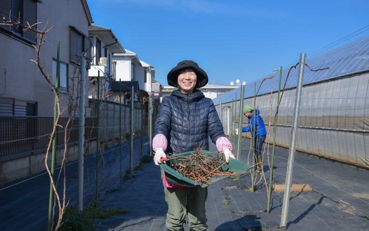 東京で初めてのワイナリー