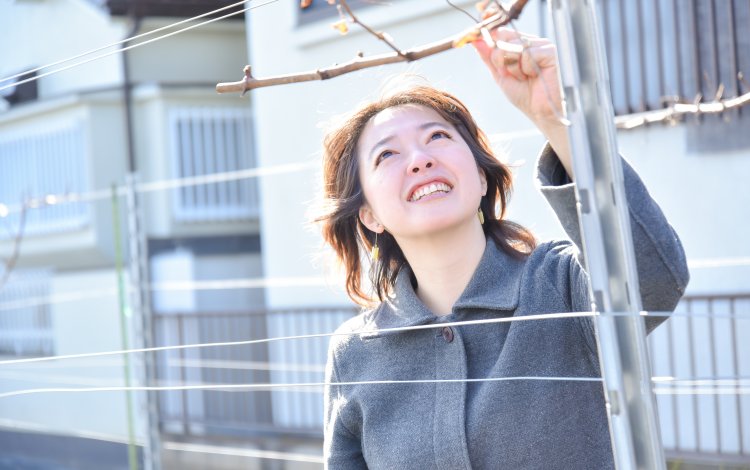 東京で初めてのワイナリー