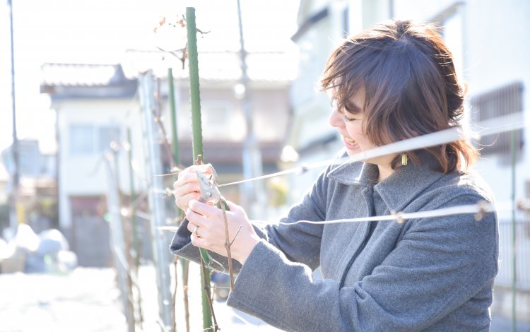 東京の農産物で何ができるのか