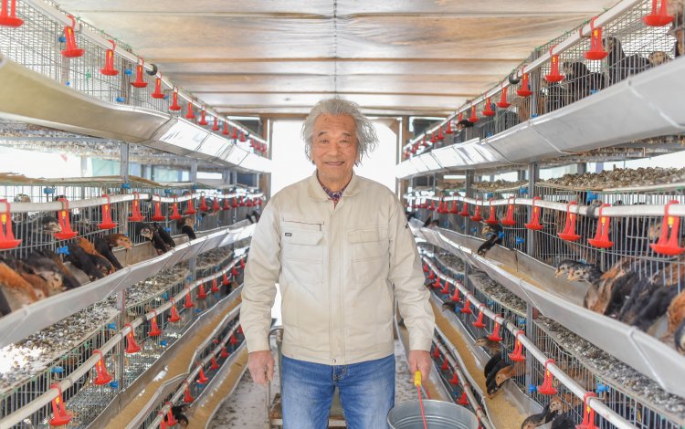 伝統を継いで新たな東京ブランドに