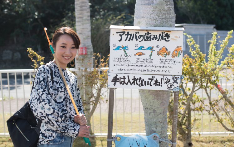 歯を磨かせてくれるアカハタ（アカバ）に思わず歓声！