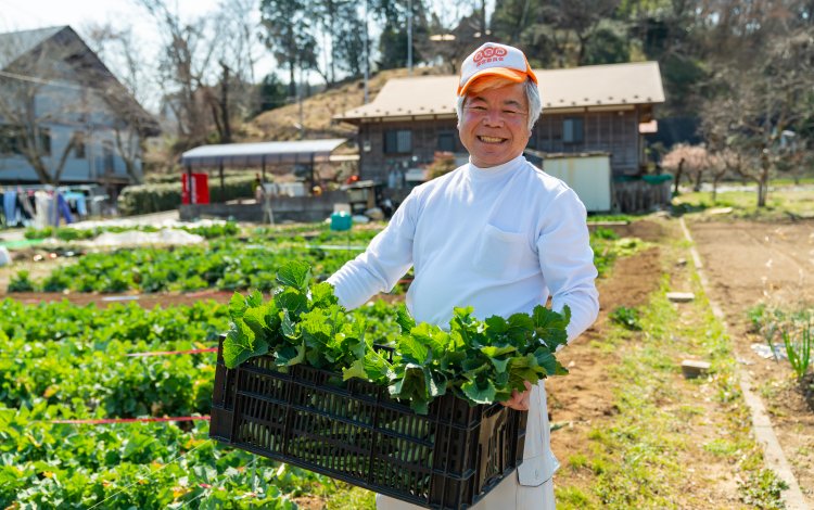ノラボウナってどんな野菜？