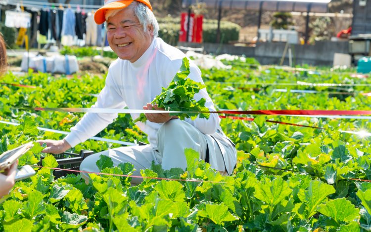 生命力を感じながら