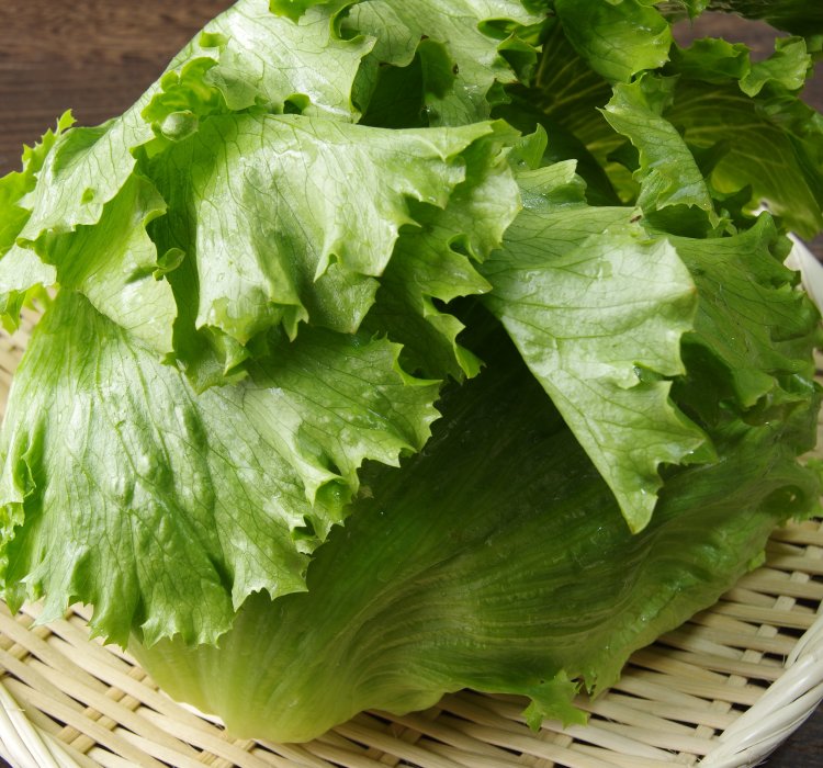レタス