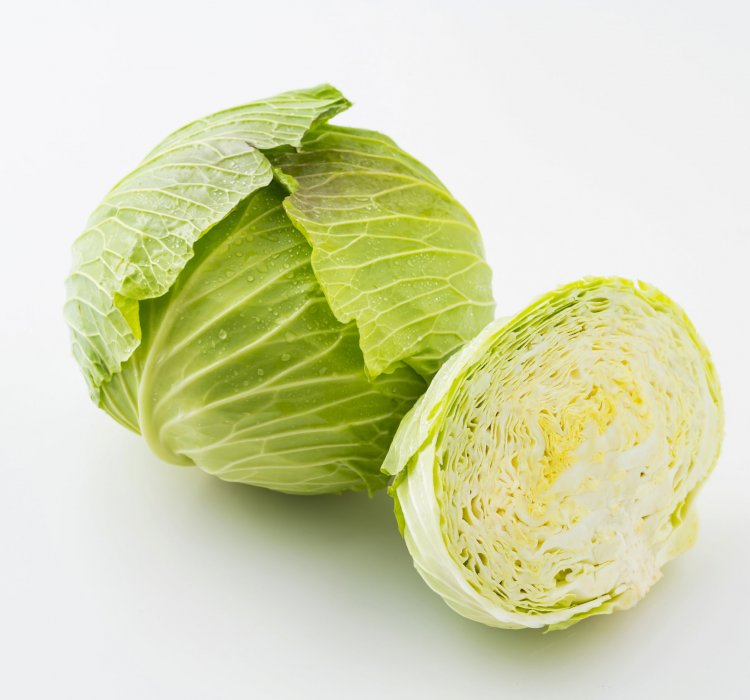 キャベツ