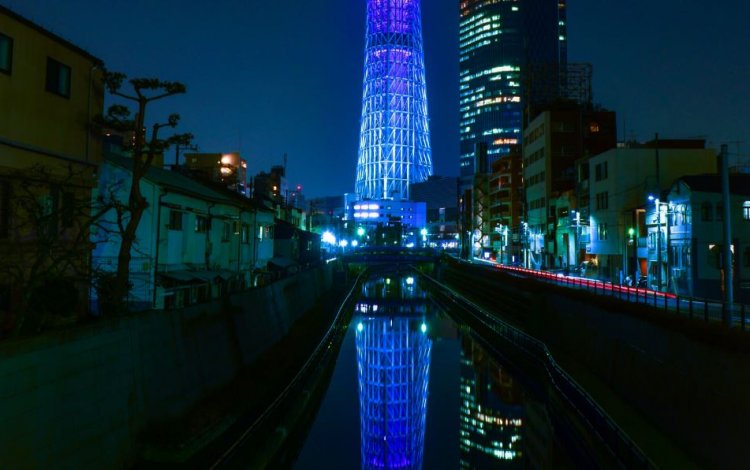 冬の楽しみイルミネーション