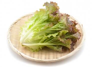 ゴールデンウイーク特別企画　東京の特産品から選べる豪華プレゼント！