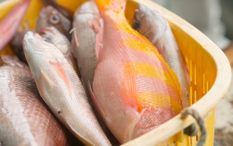 人と同じものを売るより、体を動かしながら技術を得たい