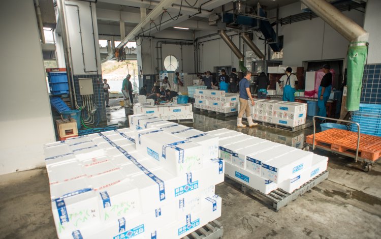 人と同じものを売るより、体を動かしながら技術を得たい