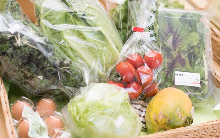 父島、母島で採れる野菜と果物がいっぱい！