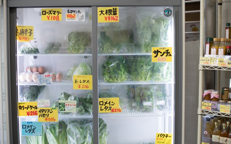 嫌いだった野菜も、島で採れたものなら食べられる！