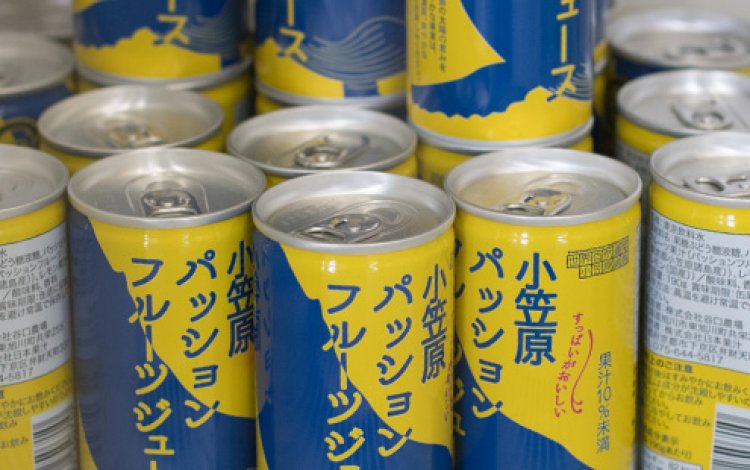 海風に吹かれながら、小笠原のお酒を楽しもう！