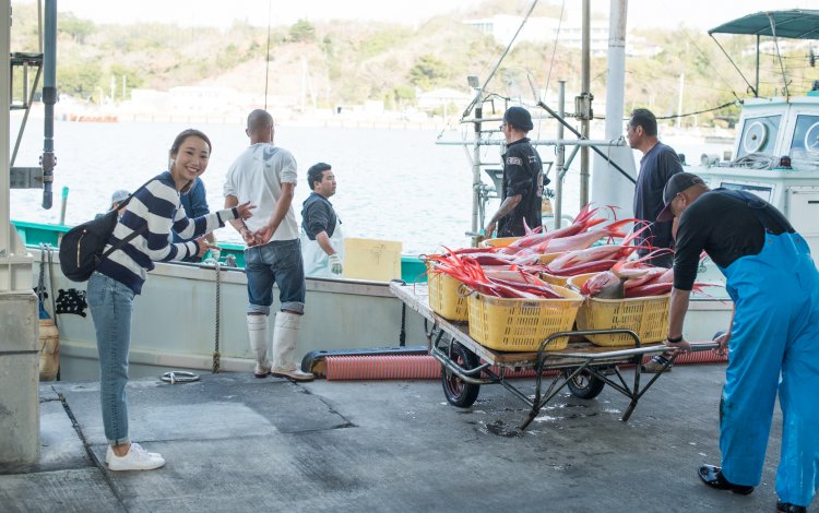 父島の漁師が狙うメカジキは、若手漁師にチャンスを運んでくれる魚