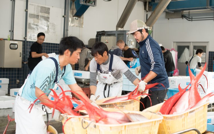 漁師は全員島外出身者、新人漁師募集中！