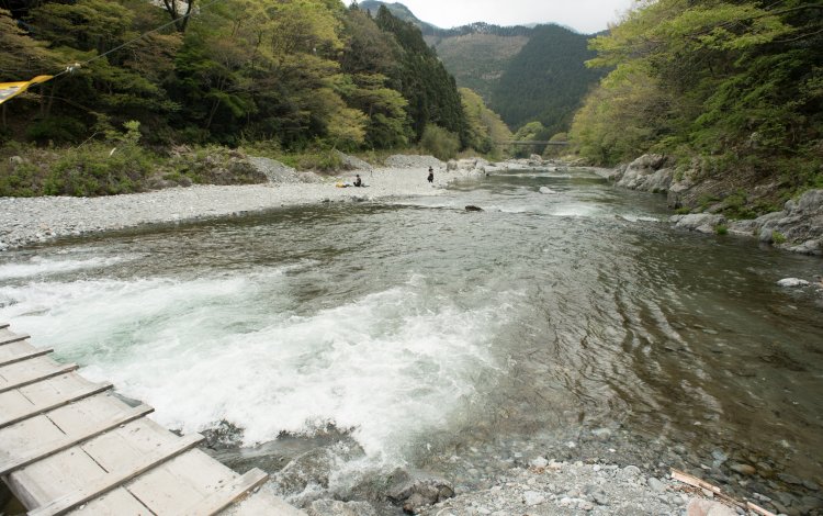 レベルに合わせた釣りエリア