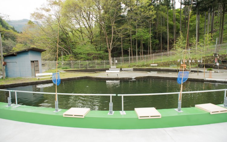 レベルに合わせた釣りエリア