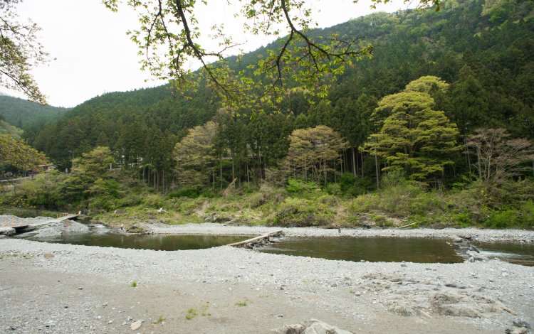 レベルに合わせた釣りエリア