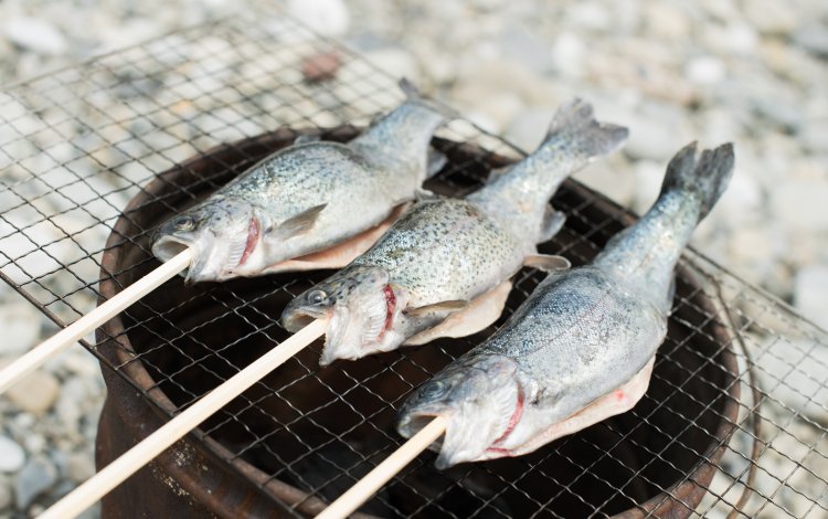 釣りたての魚をその場で食べれる