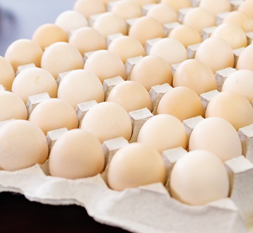 20190528162106000000413 - コピー.jpg