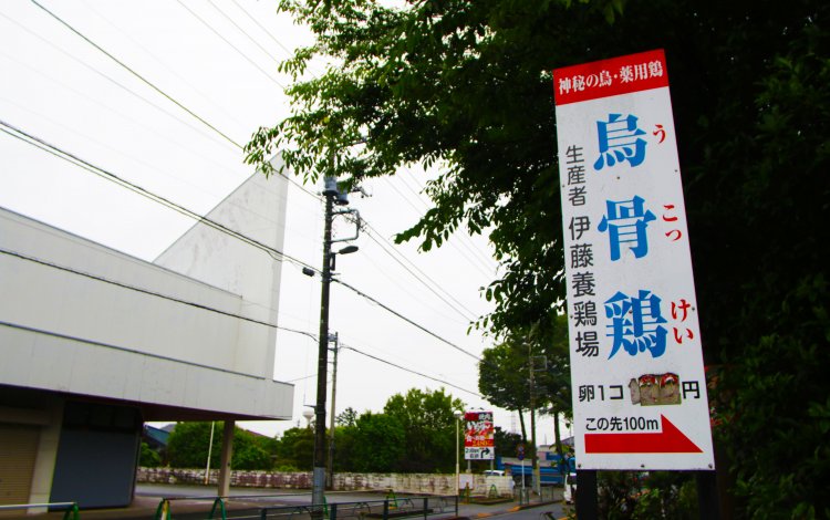 婿養子から養鶏家になる異色の経歴