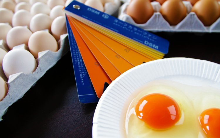 独自の経営論による家族経営の体質改善