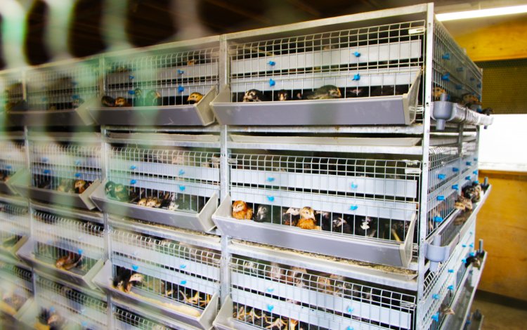 我が子が継ぎたくなる仕事を