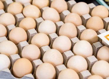 超高級卵!東京うこっけいの卵20個セット!