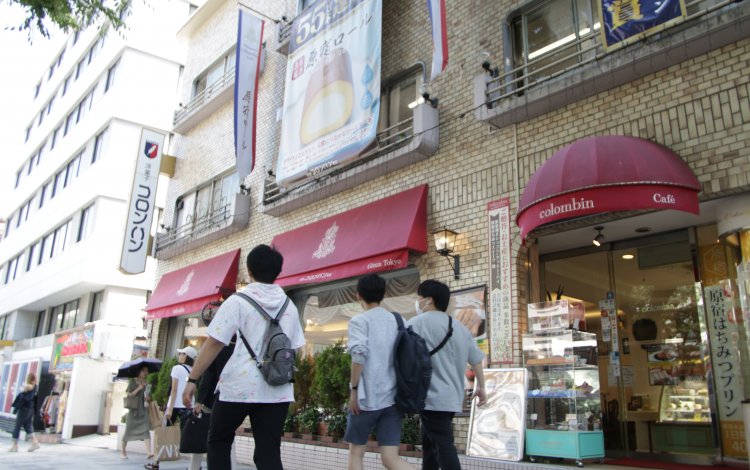 虫嫌いの少女が昆虫研究