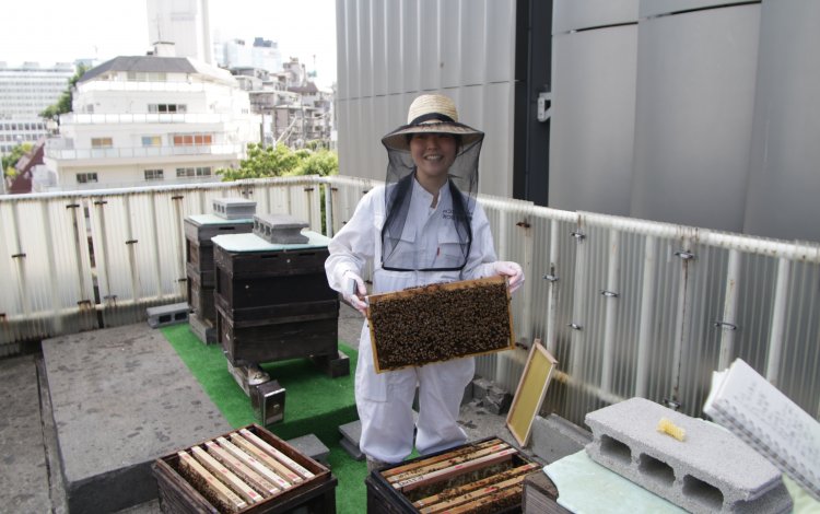 ティースプーン1杯の蜂蜜