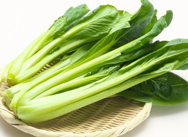 7月の夏野菜セット!(GAP認証品)