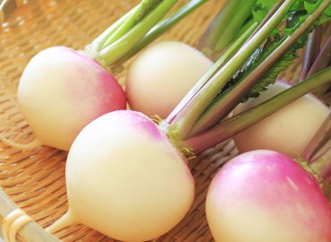 7月の夏野菜セット!(GAP認証品)