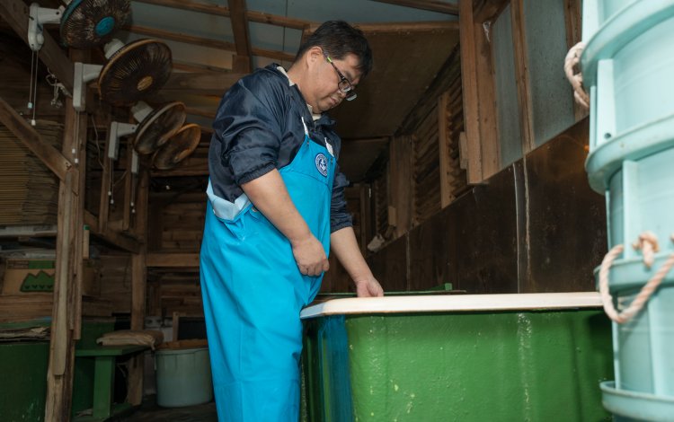 傷みやすい魚を保存する先人たちの知恵